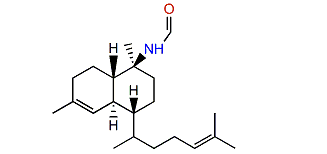 Cavernene B